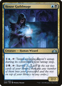 177-houseguildmage