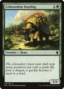178-colossodonyearling