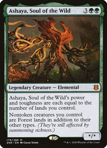 179-ashayasoulofthewild