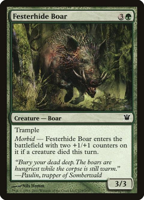 179-festerhideboar