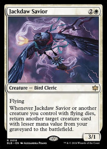 18-jackdawsavior