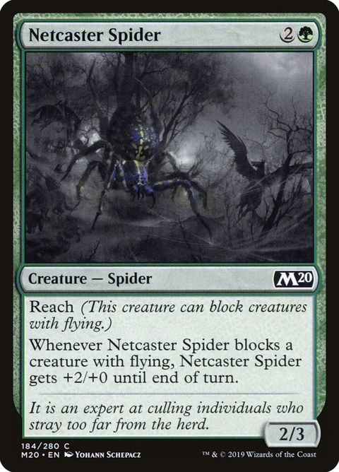 184-netcasterspider