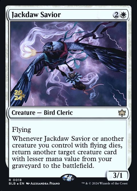 18s-jackdawsavior
