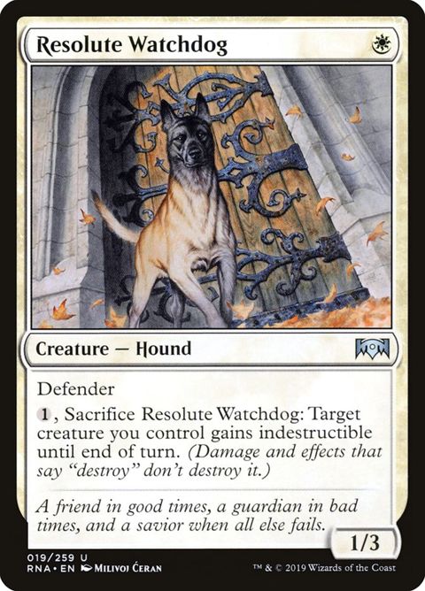 19-resolutewatchdog