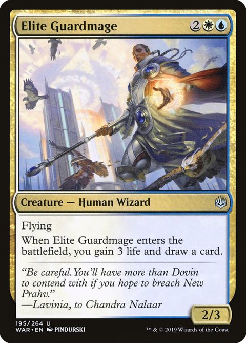 195-eliteguardmage