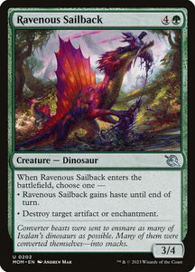 202-ravenoussailback
