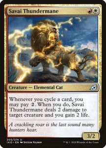 205-savaithundermane