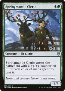 205-springmantlecleric