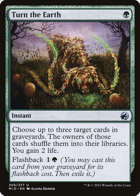 205-turntheearth