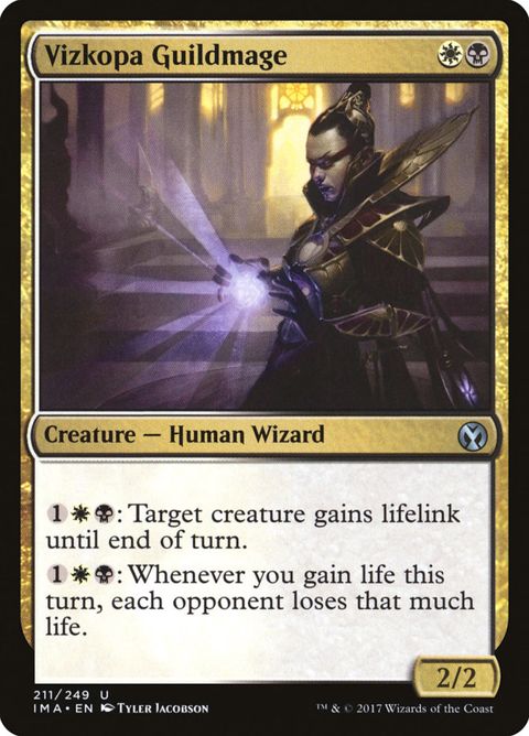 211-vizkopaguildmage