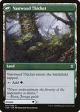 216-vastwoodfortificationvastwoodthicket