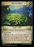 217-twistsandturnsmycoidmaze