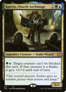 221-kasetoorochiarchmage
