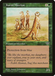 225-karoomeerkat