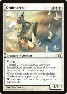 23-ornitharch