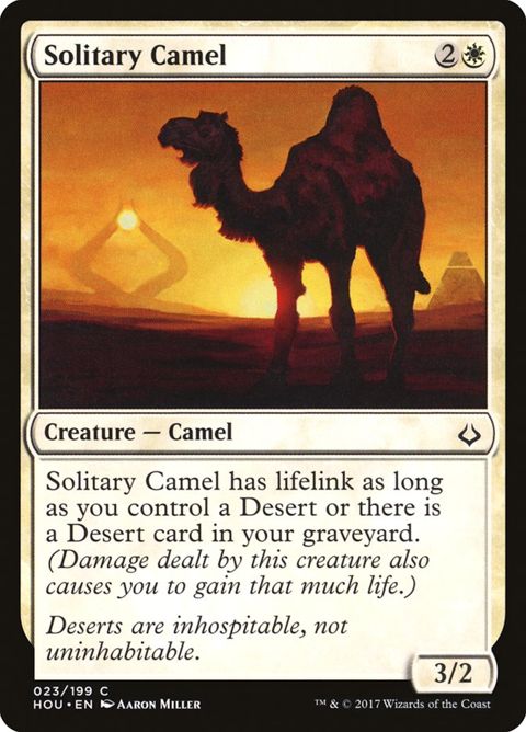 23-solitarycamel