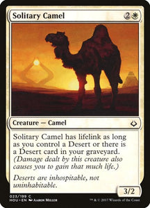 23-solitarycamel