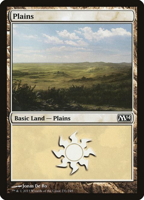 231-plains