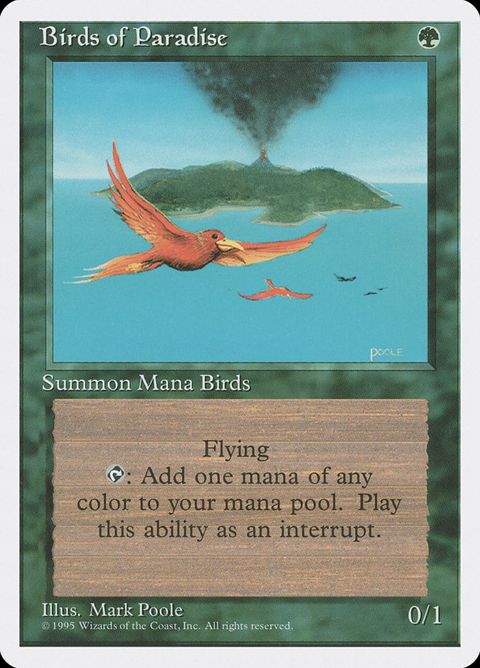 234-birdsofparadise
