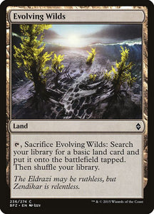 236-evolvingwilds