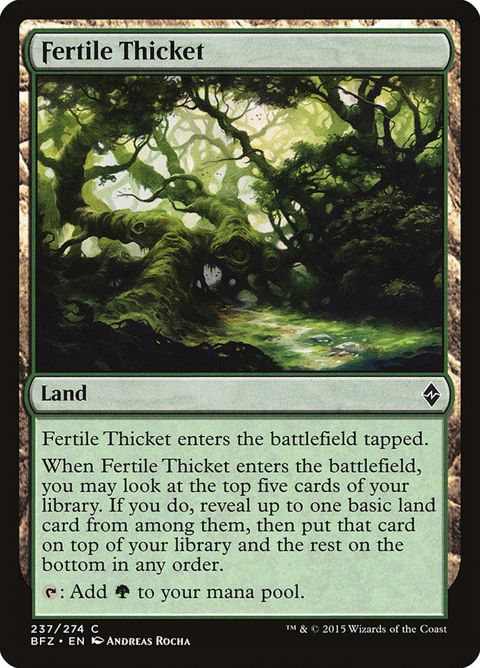 237-fertilethicket