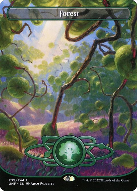 239-forest