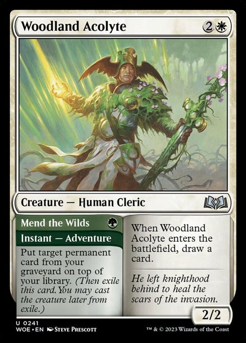 241-woodlandacolytemendthewilds
