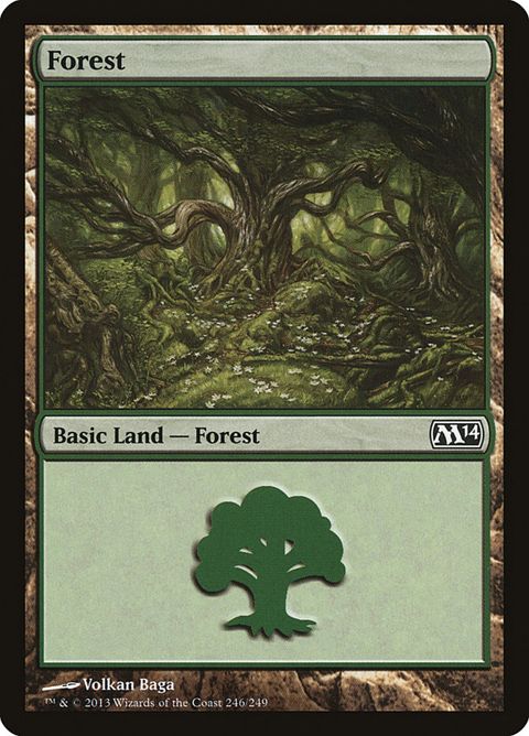 246-forest