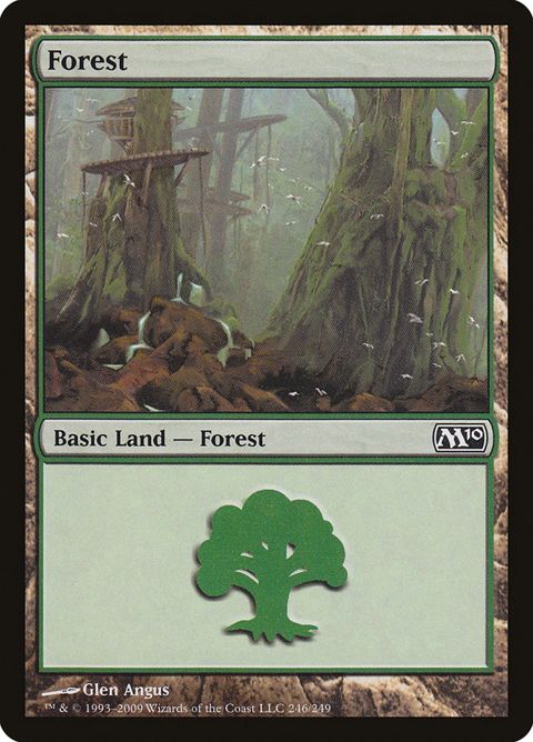 246-forest