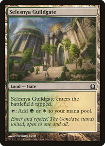 246-selesnyaguildgate
