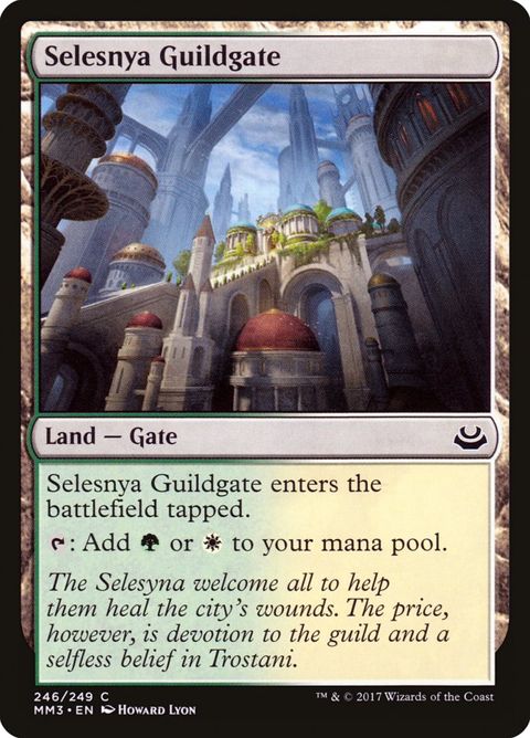 246-selesnyaguildgate
