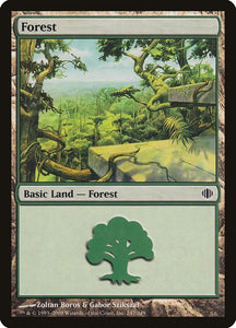 247-forest