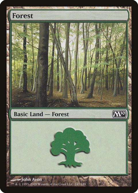 247-forest