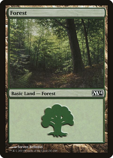 247-forest