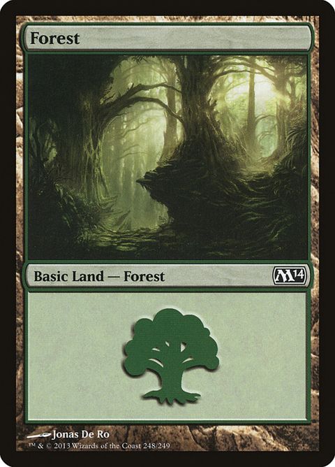 248-forest