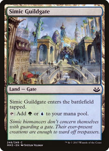 248-simicguildgate