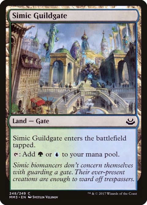 248-simicguildgate