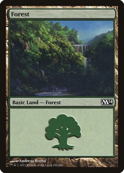 249-forest
