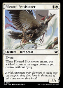 25-pileatedprovisioner