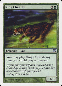 250-kingcheetah