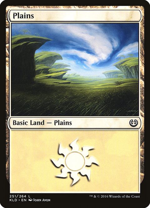 251-plains
