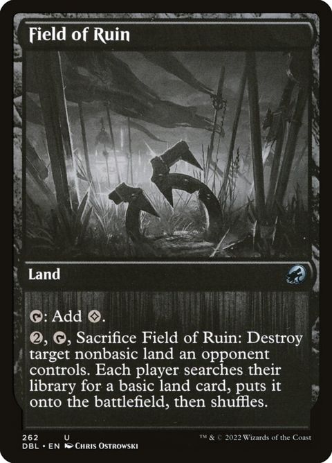 262-fieldofruin