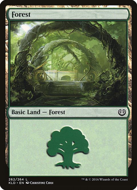 262-forest