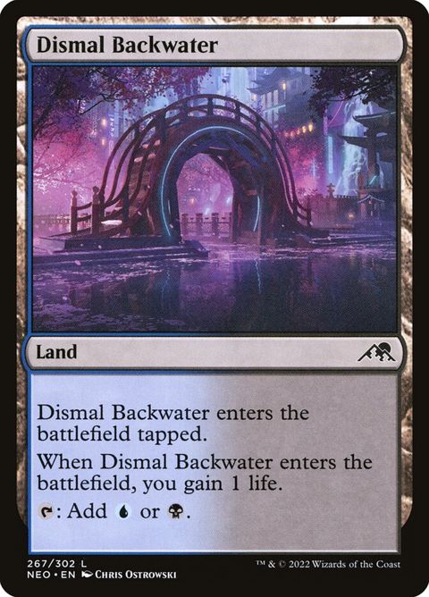 267-dismalbackwater