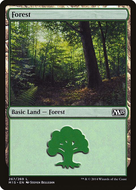 267-forest