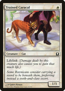 27-trainedcaracal