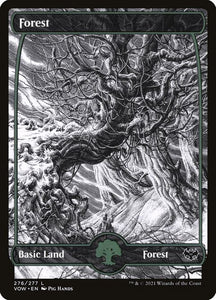 276-forest