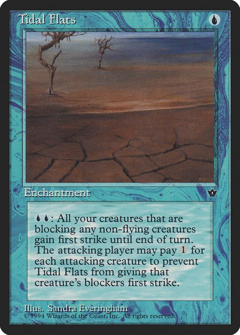 27c-tidalflats