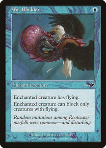 28-airbladder