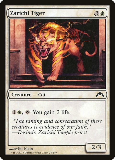 28-zarichitiger